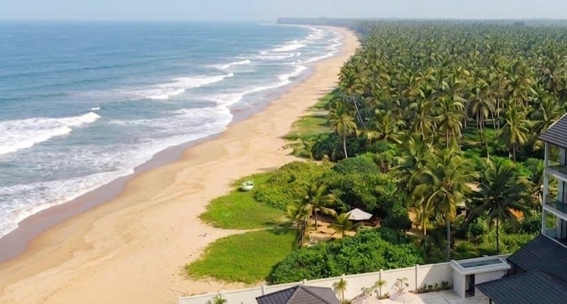 Artist’s impression of the beach running north from the property, a coconut grove behind the sand.