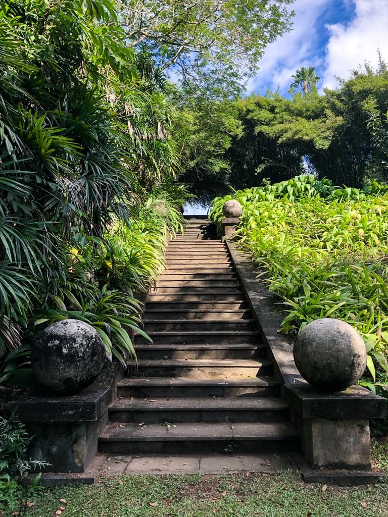 Photograph of a stone stair and planted terrace at Brief Garden.